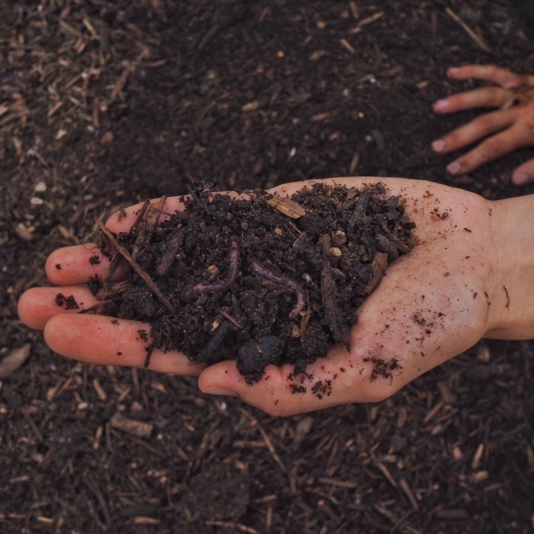 soil