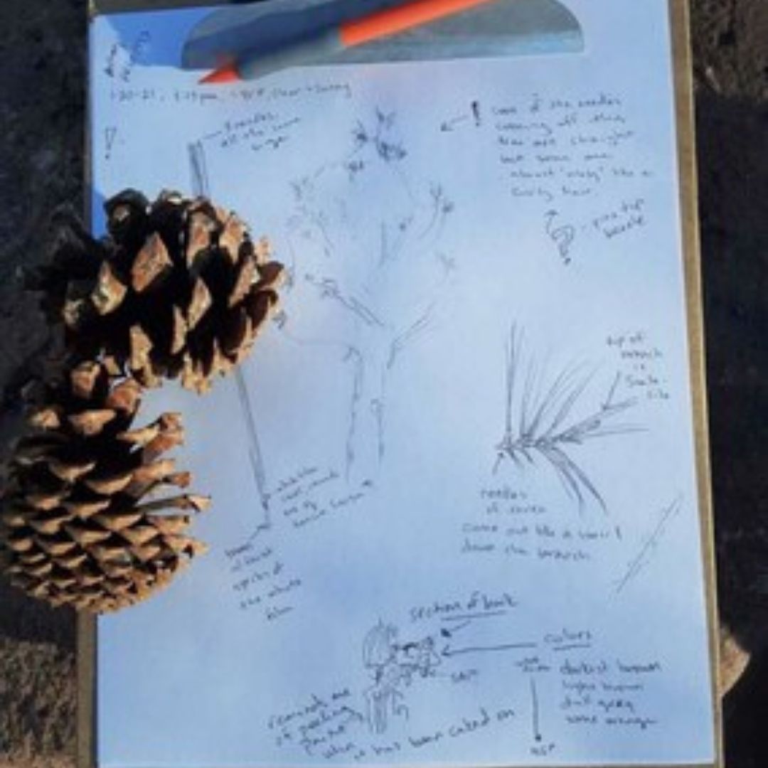 journal