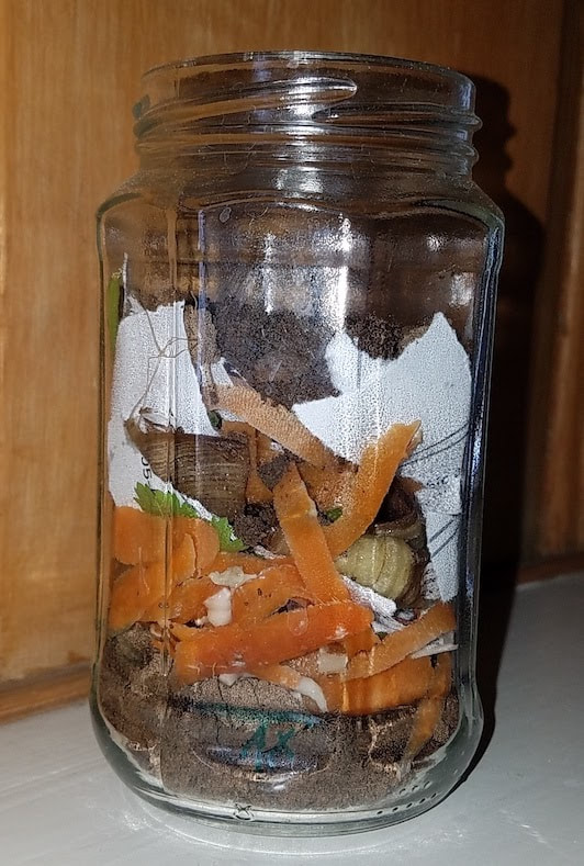 compost2-layer-everything_orig