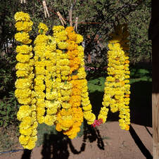 marigold-garlands