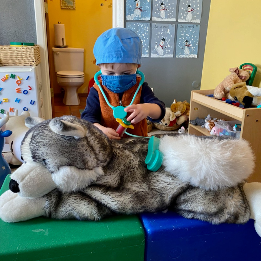 Bear at School