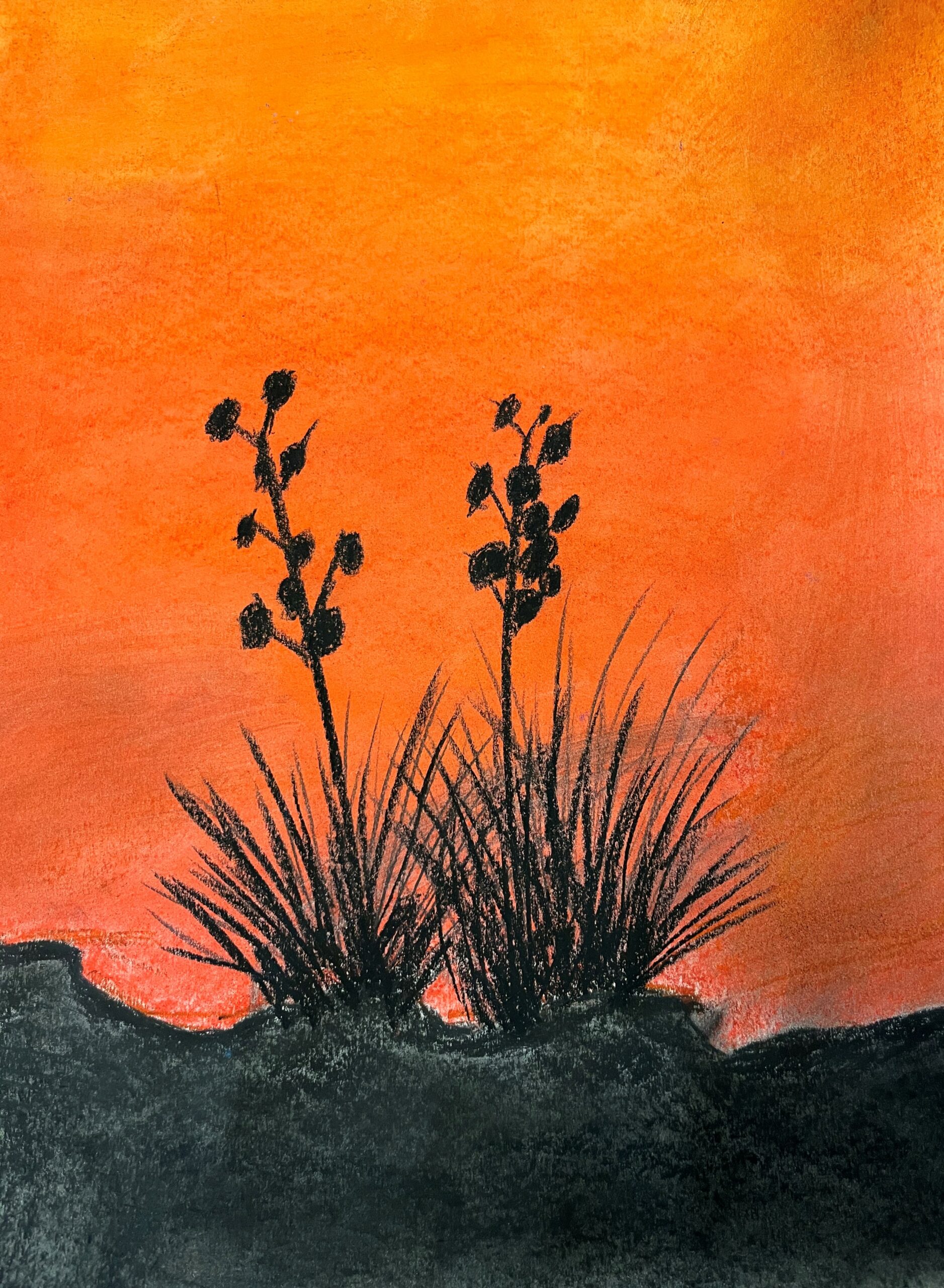 Nina Otero Community School, Nathan S., 7th grade