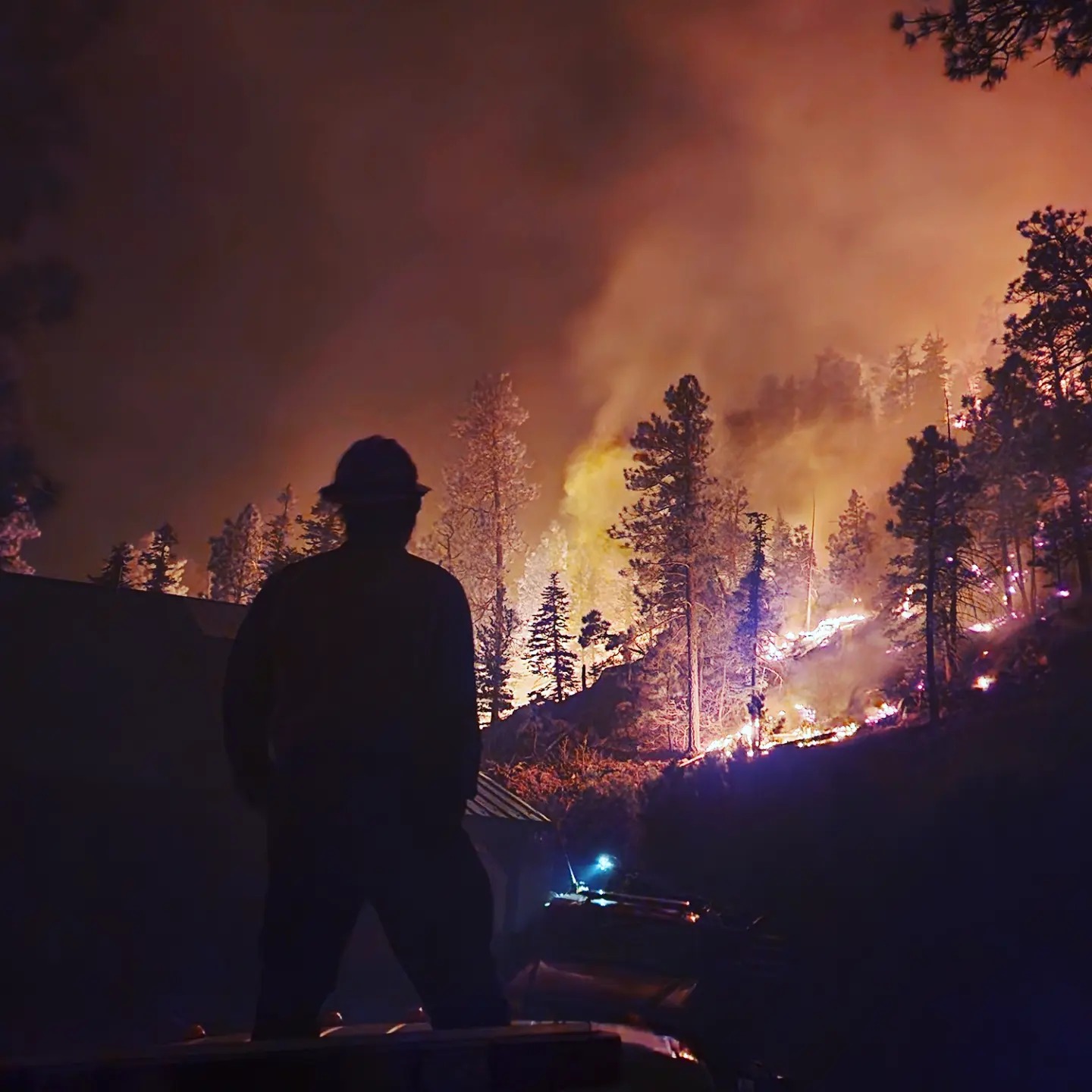 USFS SF National Forest 2