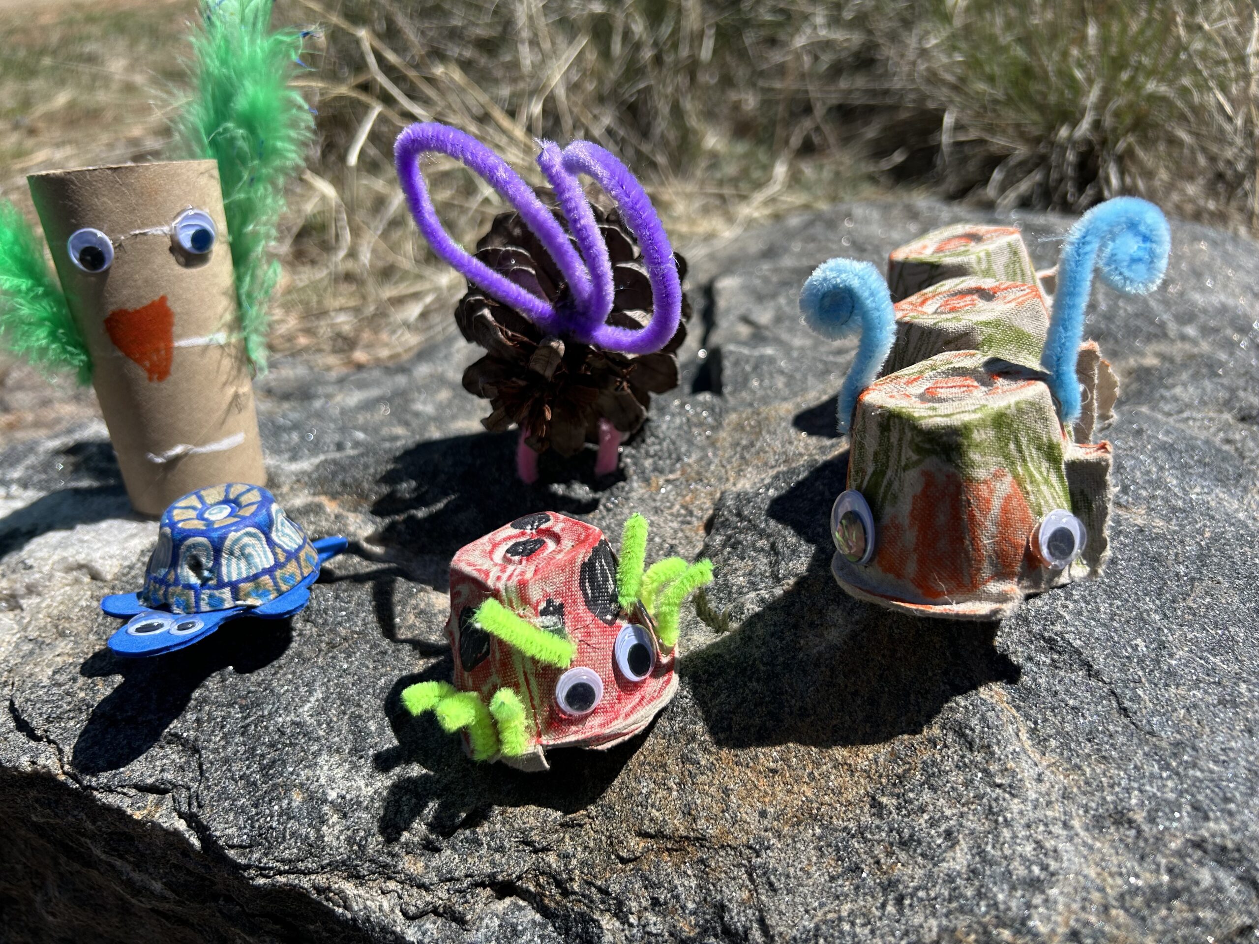 Creative Critter