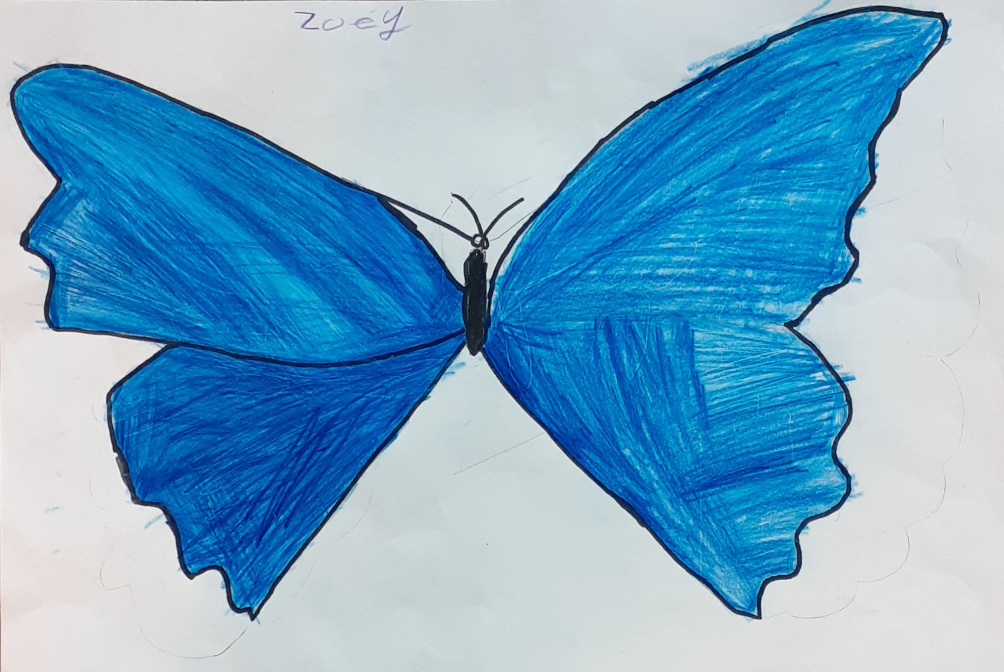ECRA-ZoeyG.3rdgrade