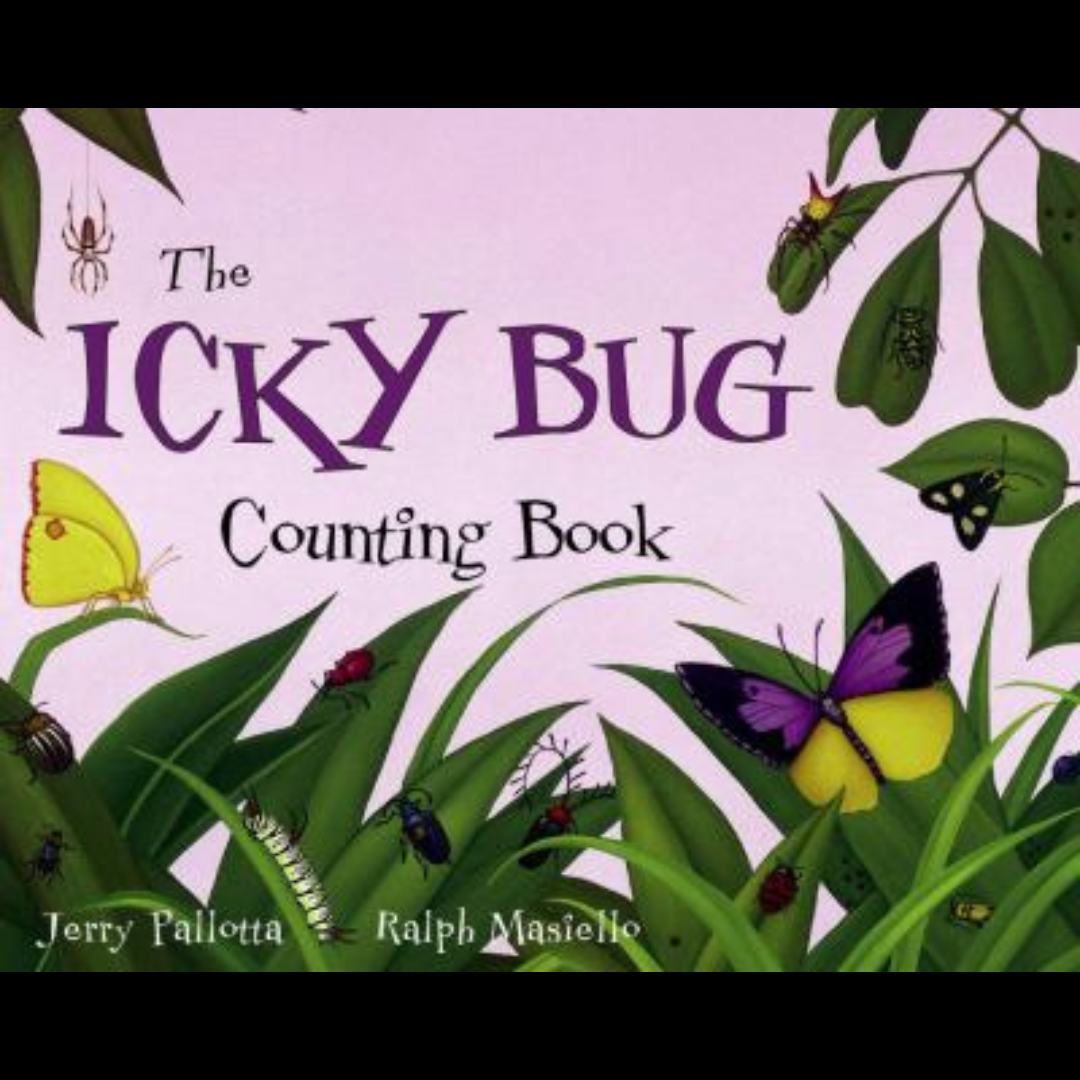book 6