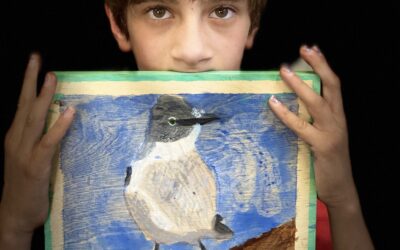 Dragonfly Art Studio