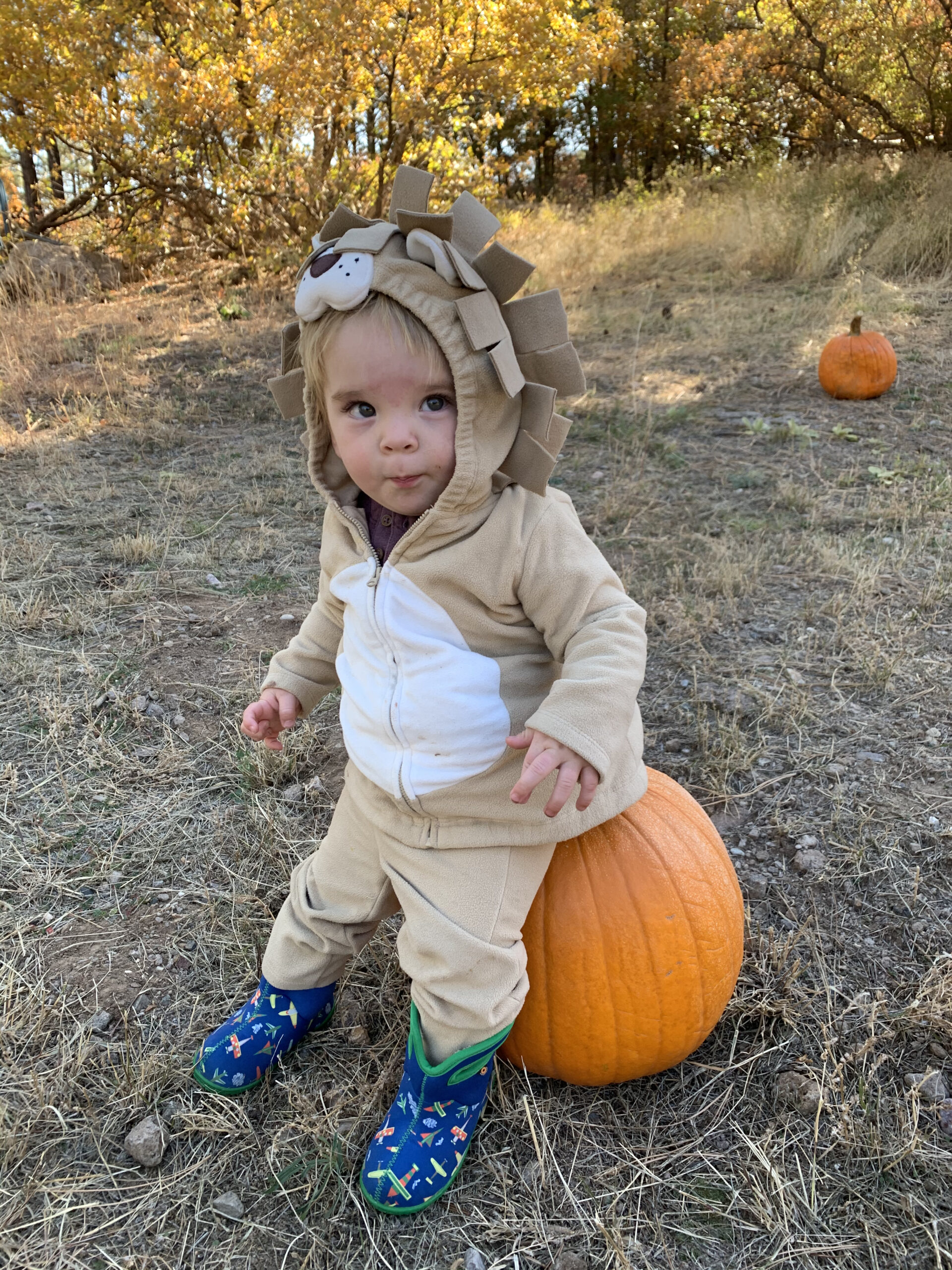 Claiming a pumpkin to carve