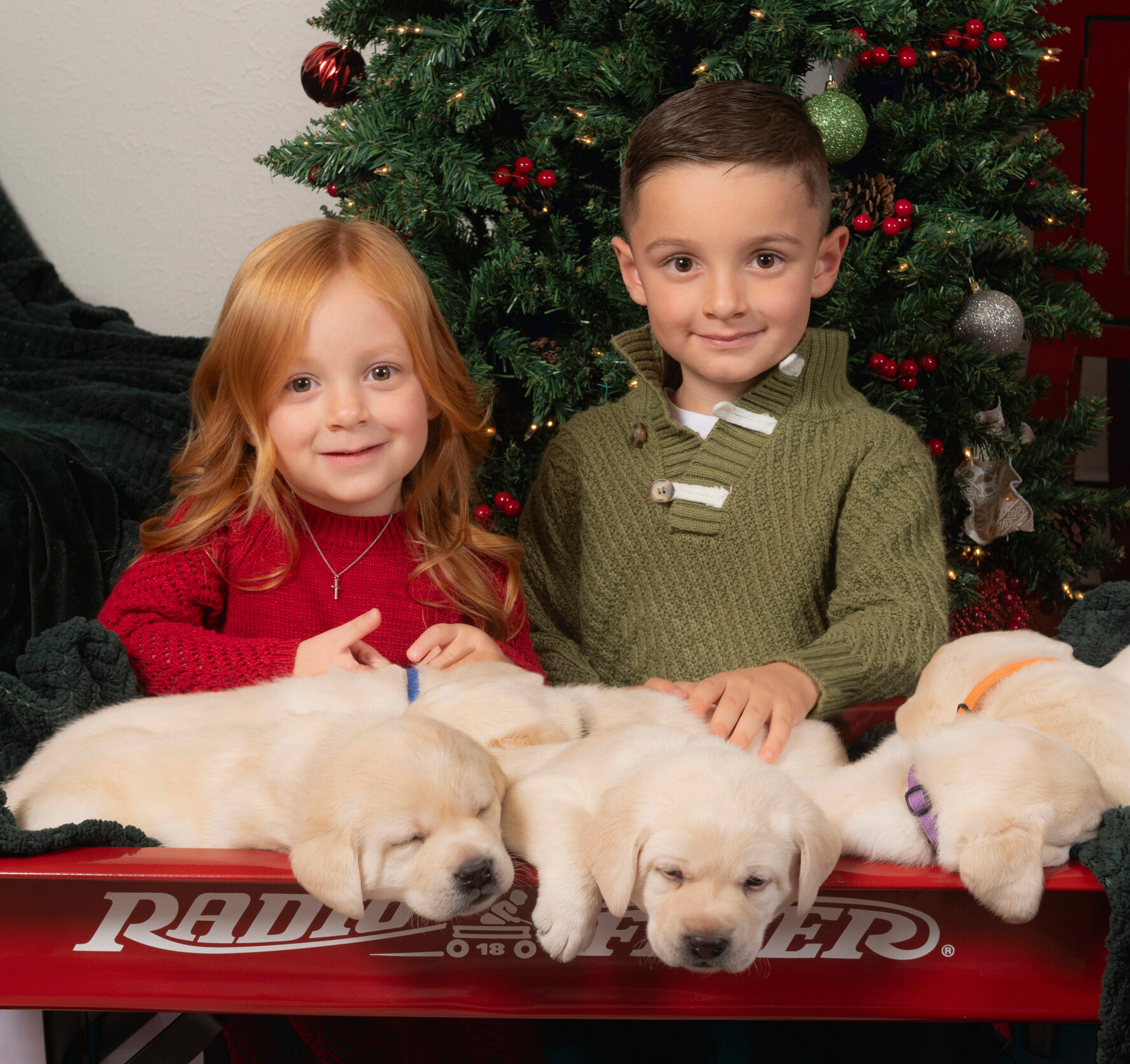 Xavier and Lucia with puppies and christmas tree