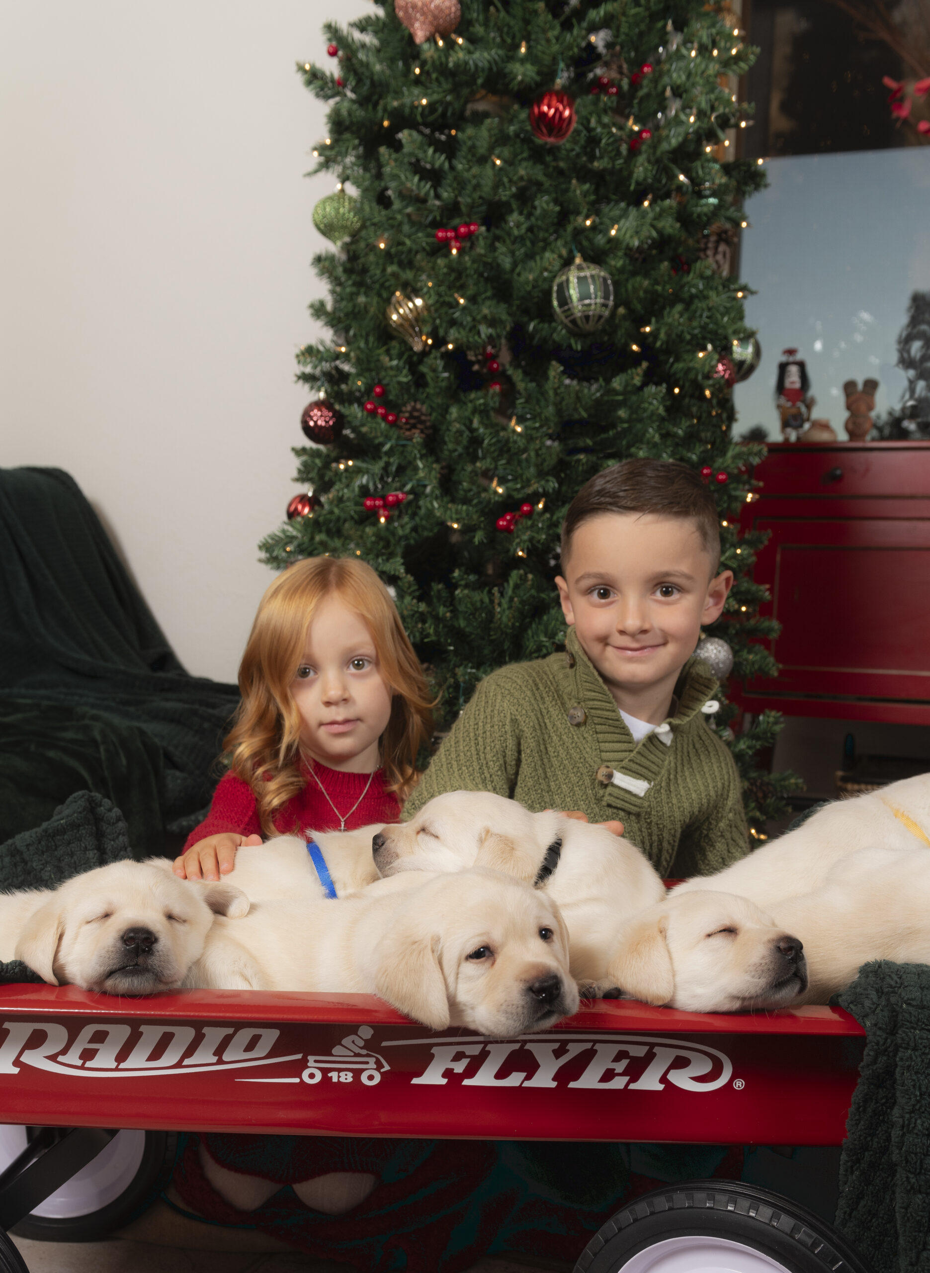 Xavier and Lucia with puppies