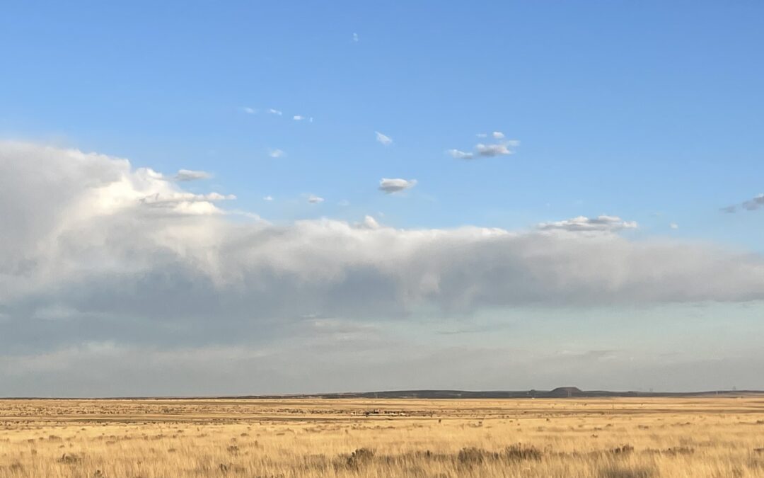 The New Mexico Center for Therapeutic Riding Is Moving