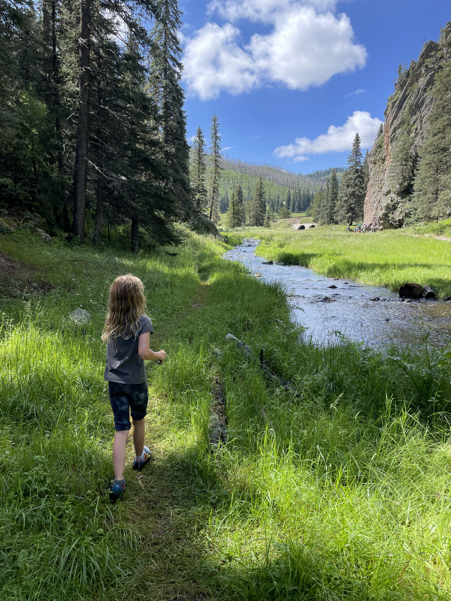 Donna Fleming of Los Alamos hiking in the
Jemez wilderness.