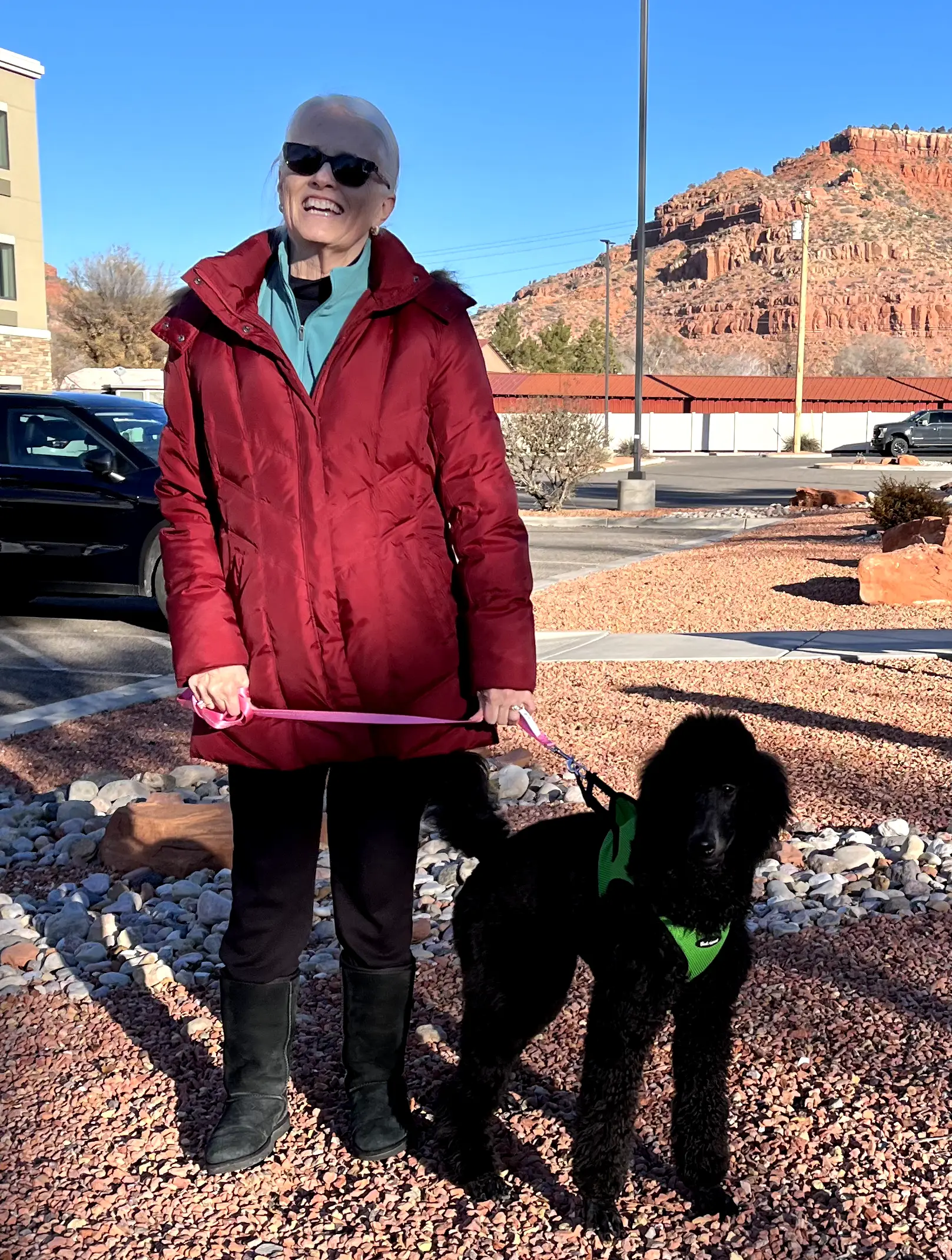 Together, we picked up her new dog, Violet, in Utah and started her journey training her service dog.