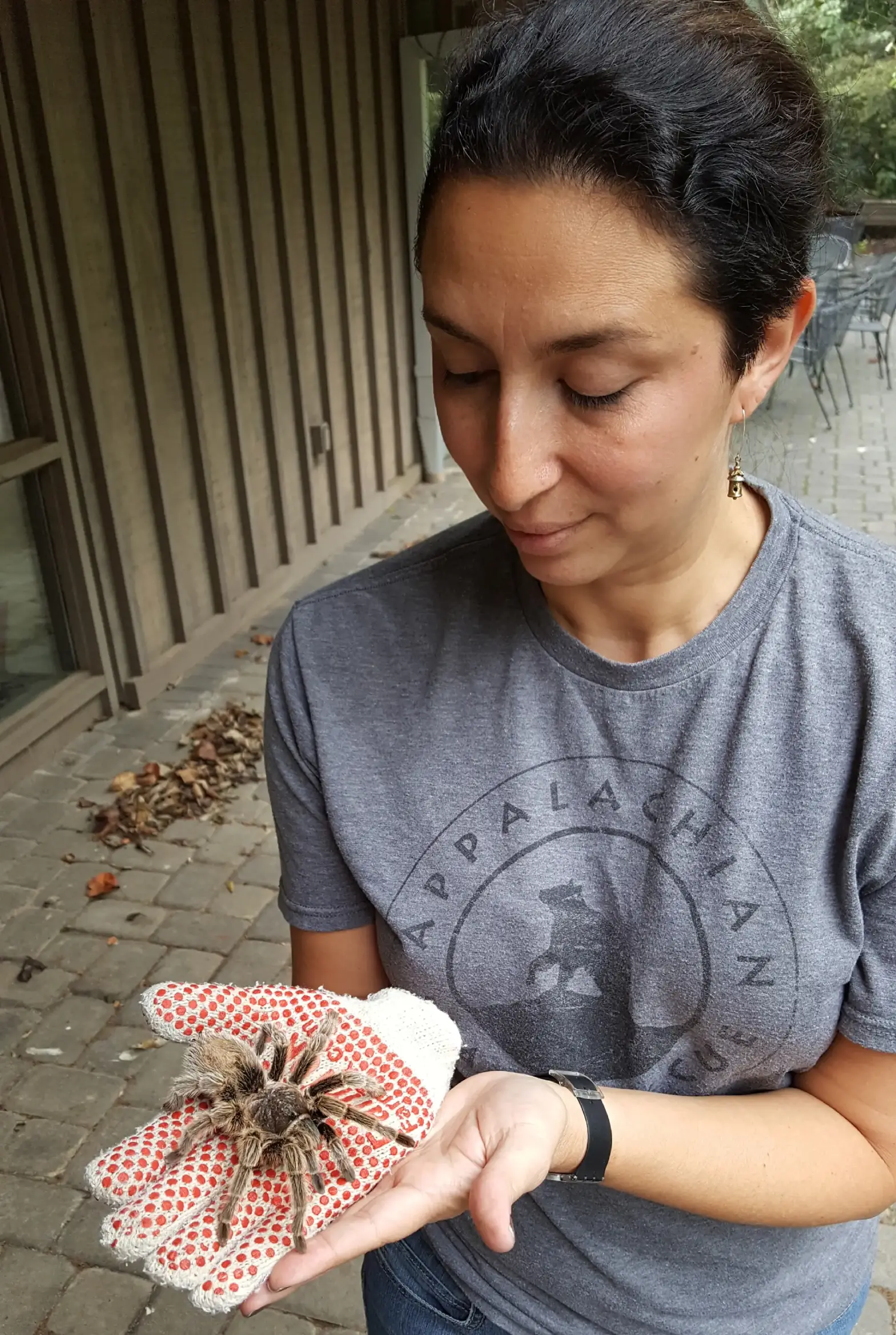Me and another tarantula
