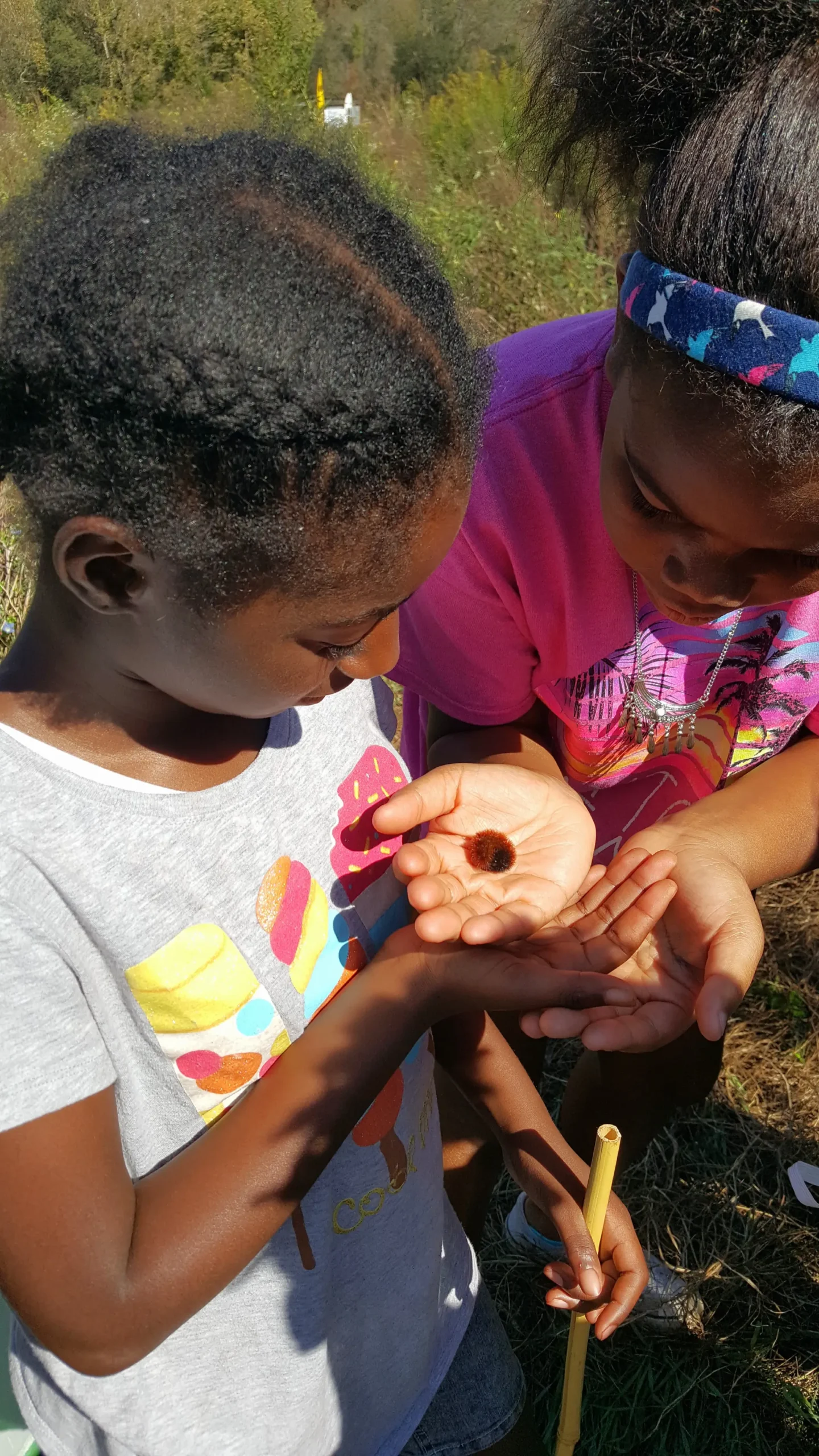 children holding caterpillar children holding caterpillar