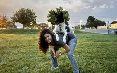 Finding the Perfect Pup