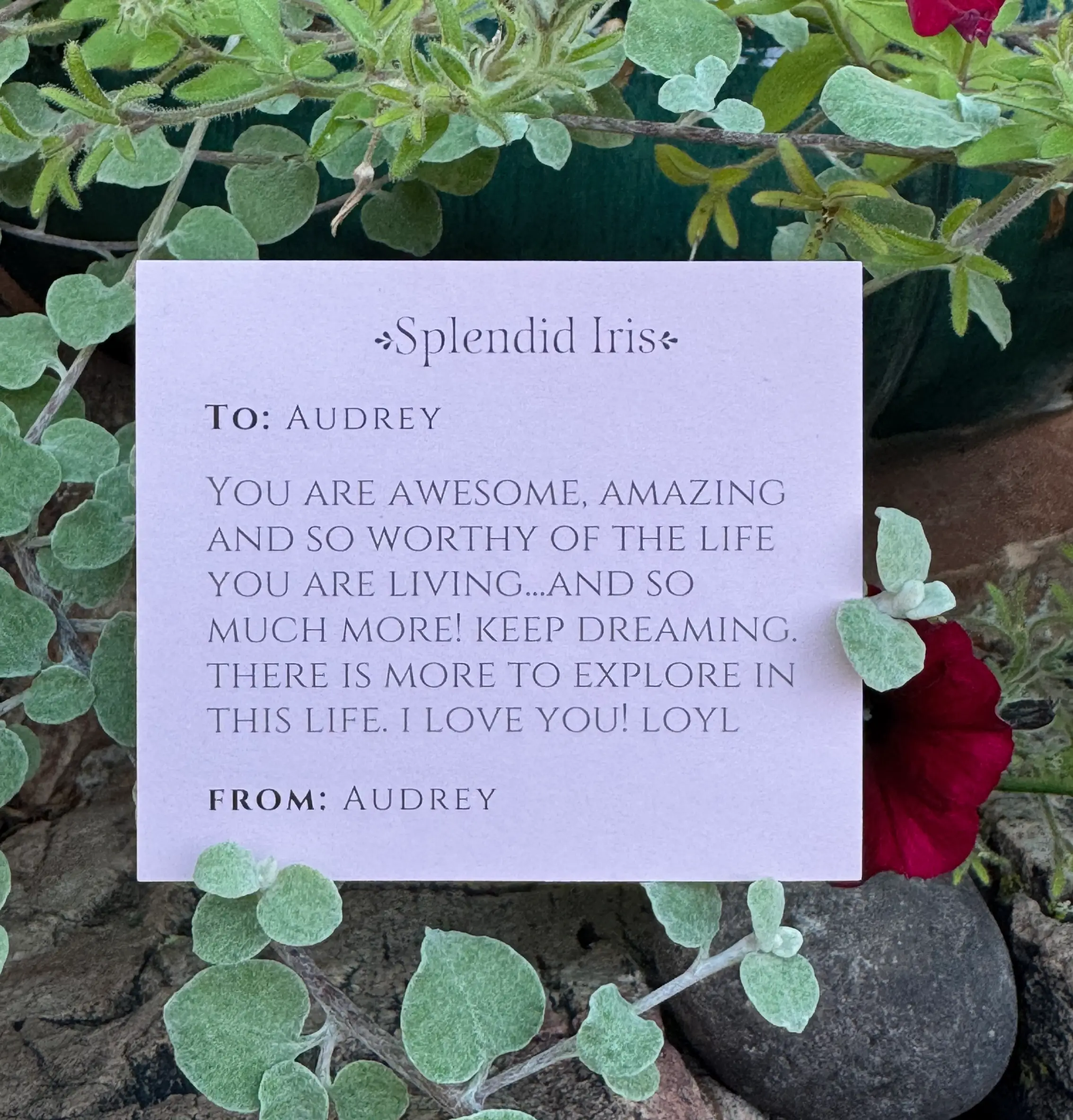 Inspirational Gift Message Your future self deserves surprises too. Write a gift note to yourself with every online order, and unwrap love when it arrives